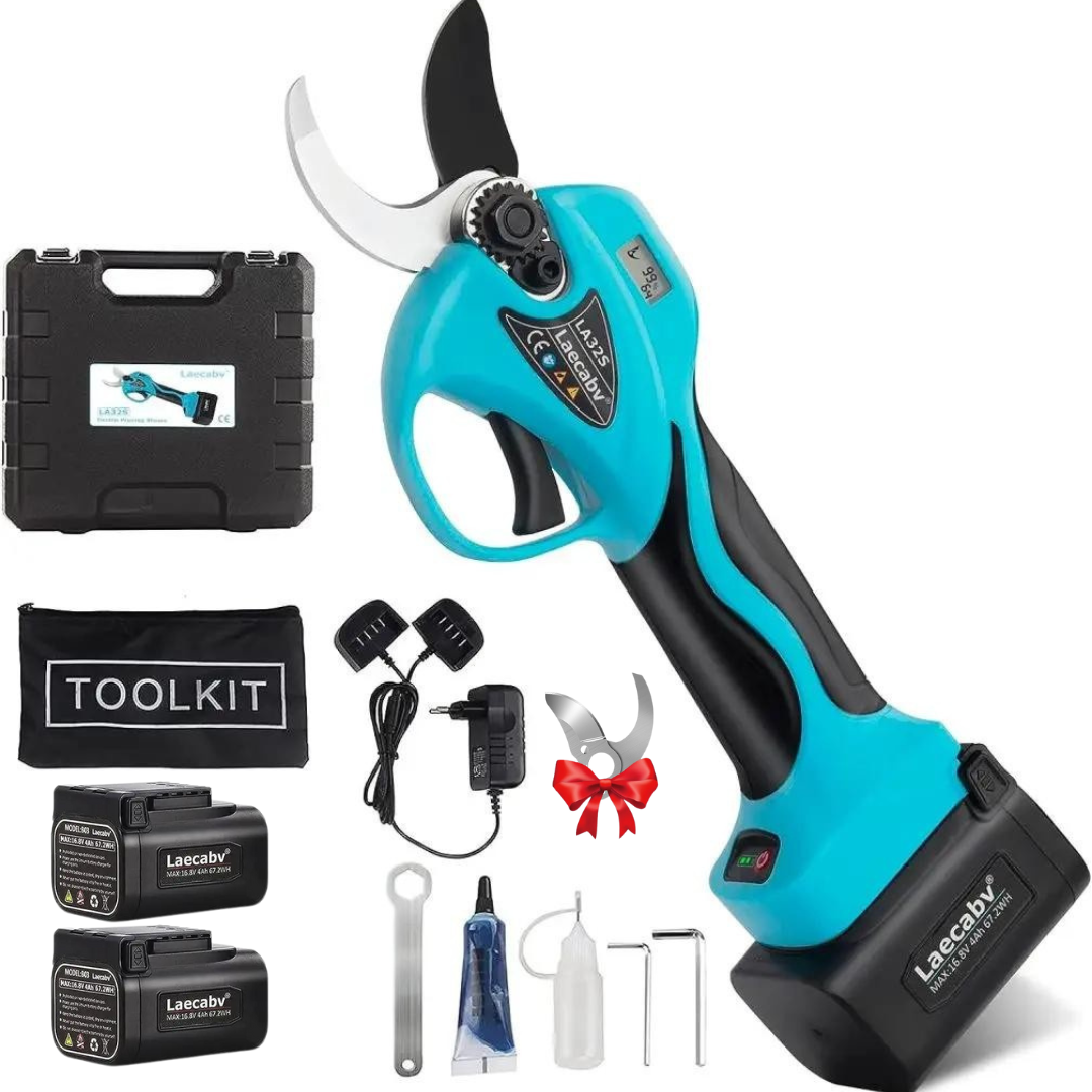 CESOIA A BATTERIA (2).png__PID:b105cdb3-ebb7-4cfa-90d5-394a3fcb9dfa